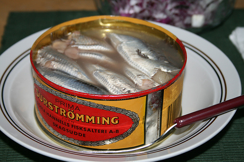 Surströmming – kiszony śledź – szwedzka specjalność