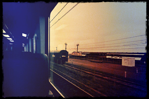 Widok z okien pociągu