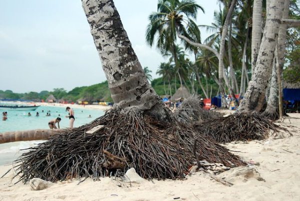 Playa Blanca 