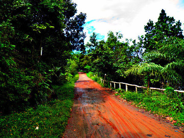 WIDOKI. Typowa kambodżańska droga nieutwardzona. 