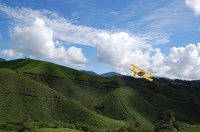 Cameron Highlands