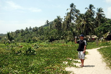 Park Narodowy Tayrona, palmowe wybrzeże