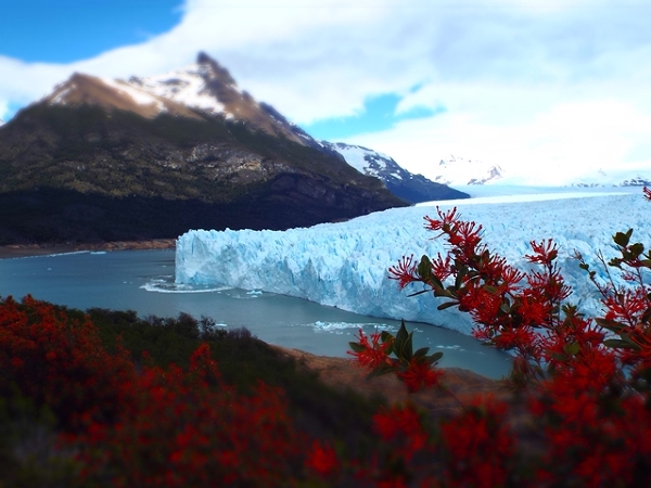 Perito Moreno- urzekające piękno lodu