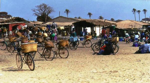 Popularność roweru w Gambii jest zaskakująca. Nie ma co się dziwić. To nie jest kraj dużych odległości – zajmuje tyle, ile nieduże polskie województwo
