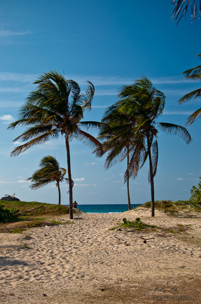 Dobrze jest na koniec pobytu odpocząć na przepięknych kubańskich plażach