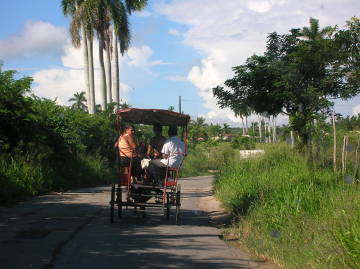 Lokalny transport
