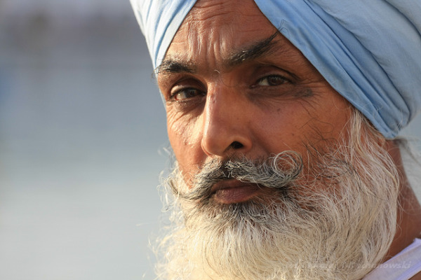 Indie, Amritsar, Sikh w Golden Temple