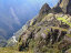 Peru – tropem wielkiego kondora