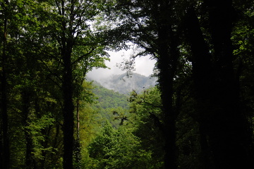 Lagodeski Park Narodowy