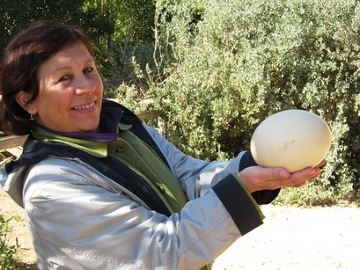 Helena Nabli prezentuje strusie jajo - Friguia Park
