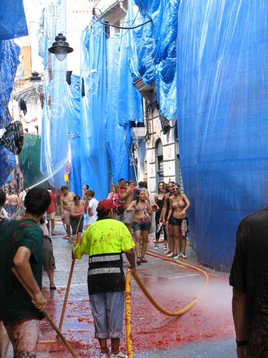 La Tomatina 2009