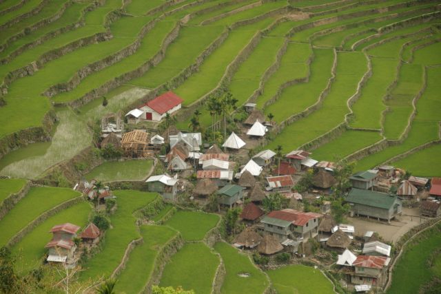 Tarasy ryżowe w Batad