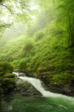 Lagodeski Park Narodowy