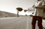 Autostop – zasady