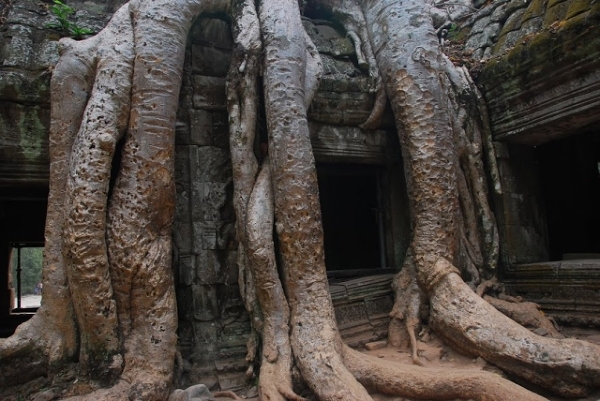Jedna ze świątyń w kompleksie Angkoru