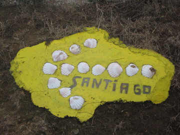 Muszla wskaże ci drogę