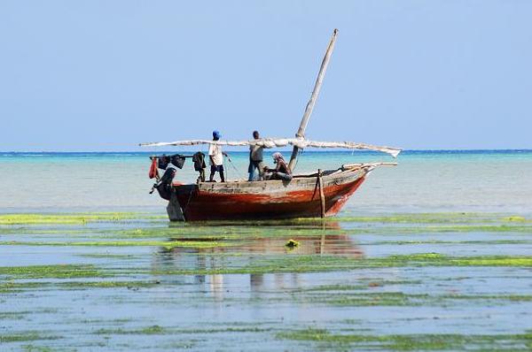 Rybacy na Zanzibarze