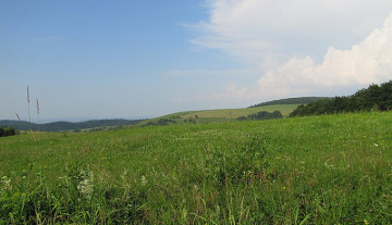 Beskid Niski. Pasmo Bukowicy.