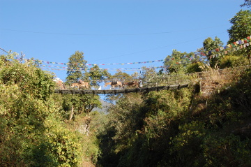 Na nizinach