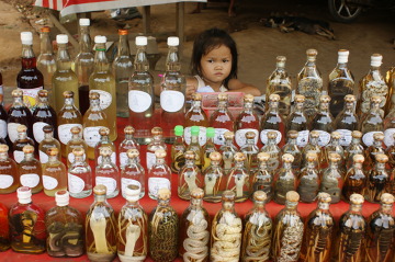 Którego węża wybieramy do towarzystwa? Młoda sprzedawczyni handluje laotańskimi smakołykami.