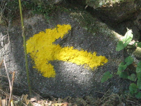 Oznakowanie Camino de Santiago