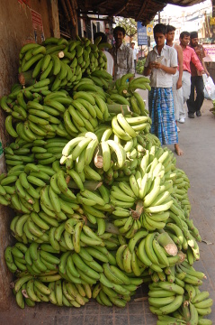 Skład bananów