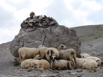 Drogowskaz na szlaku