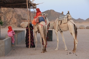 W wiosce Beduińskiej