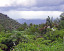 Wyspa Zauroczenia – Puerto Rico