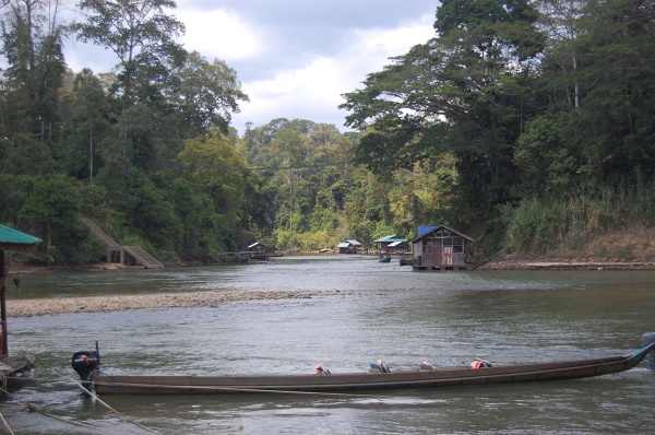 Taman Negara