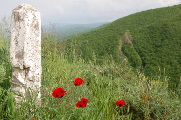 Okolice Signagi