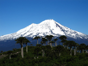 Wulkan Ilaima Wulkan Llaima (czyt. jajma) górujący nad Parkiem Narodowym Conguillio(Chile). O wschodzie słońca jest tam absolutnie mistycznie: ścielące sięmgły pośród araukarii, pod nogami żużel i pokruszona lawa, na horyzonciewciąż dymiące wulkany... Tylko patrzeć jak tyranozaur wyjdzie zza krzaków!