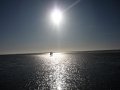 Fotorelacja z kraju tulipanów