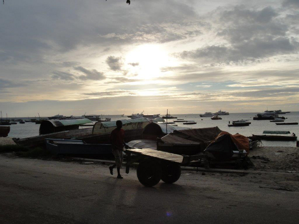 Najlepszym czasem na wyjazd na Zanzibar jest pora sucha, czyli okres między czerwcem a  wrześniem i październikiem