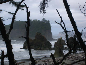 Ruby Beach