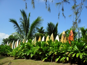 Sanktuarium surfboardow-Maui