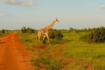Kenia