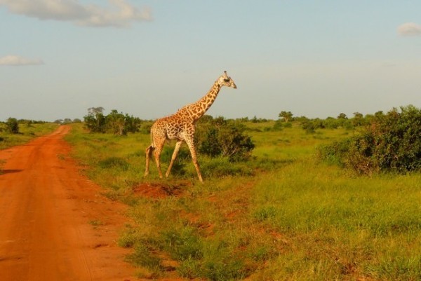 Kenia