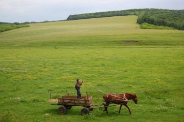 Okolice Orheiul Vechi