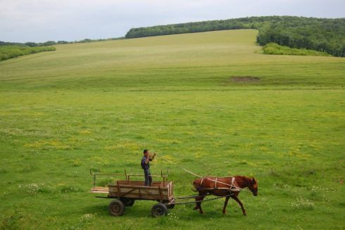 Okolice Orheiul Vechi