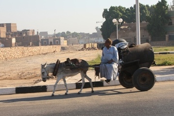 Środek transportu w Luksorze