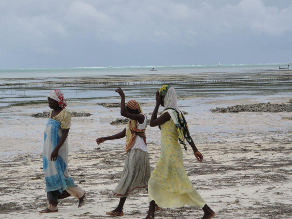 W języku suahili Zanzibar oznacza ni mniej ni więcej tylko „kraina ludzi czarnych”