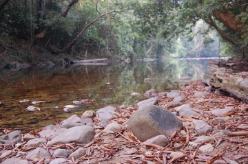 Taman Negara