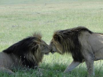 Love is in the air!
