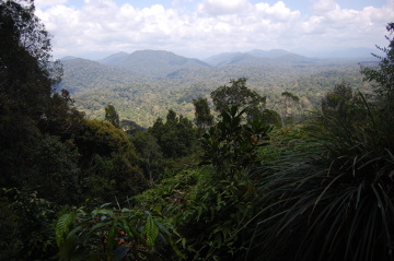 Taman Negara
