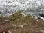 Trekking z tragarzami