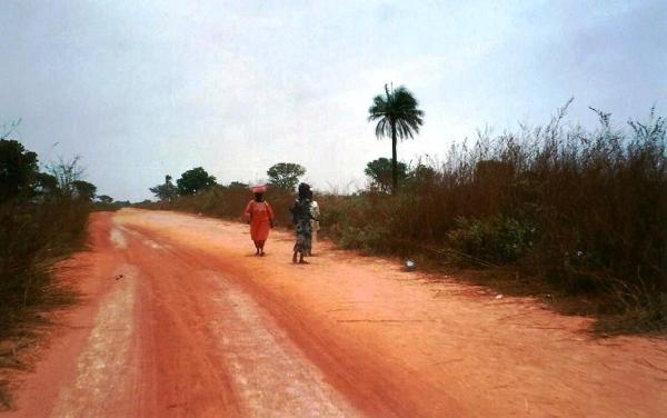 Autostopowiczki a może to po prostu niespieszny spacer? Te kobiety mogą należeć do jednego z 5 ludów zamieszkującego Gambię: Wolof, Soninke, Mandinka, Fulani, Diola. 