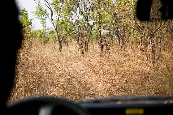 Kiang West National Park