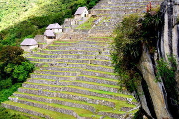 Niezliczone tarasy uprawne Inków