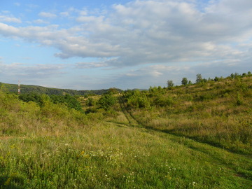 Węgierskie wzgórza